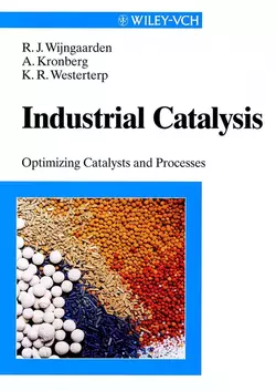 Industrial Catalysis Alexander Kronberg и A.N.R. Bos