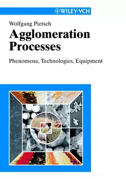 Agglomeration Processes, Wolfgang Pietsch