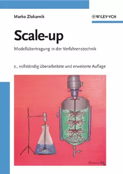 Scale-up, Marko Zlokarnik