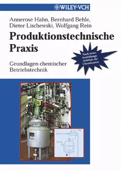 Produktionstechnische Praxis, Annerose Hahn