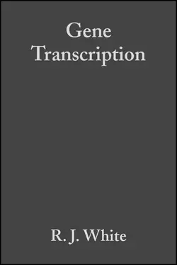 Gene Transcription, R. White