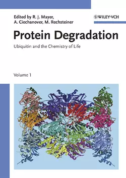 Protein Degradation, Martin Rechsteiner