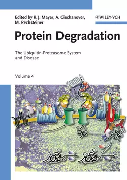 Protein Degradation, Martin Rechsteiner