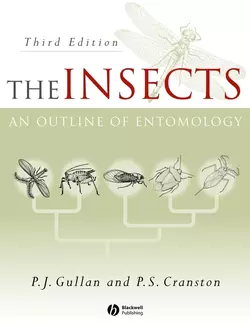 The Insects, P. Gullan