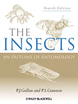 The Insects, P. Gullan