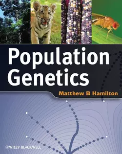 Population Genetics, Matthew Hamilton