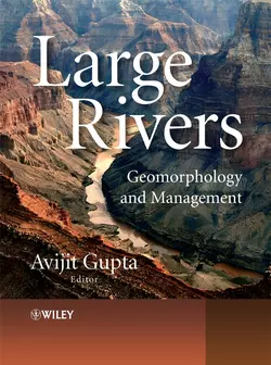 Large Rivers, Avijit Gupta