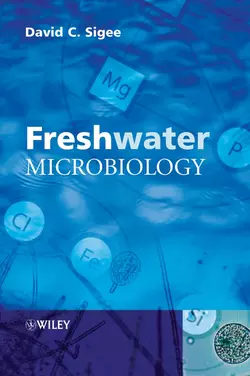 Freshwater Microbiology David Sigee