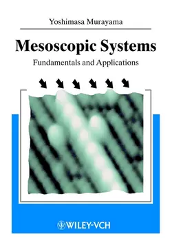 Mesoscopic Systems Yoshimasa Murayama