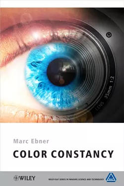 Color Constancy, Marc Ebner