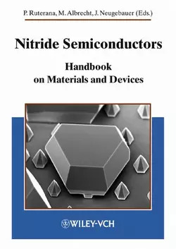 Nitride Semiconductors, Martin Albrecht