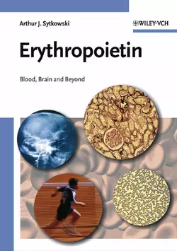 Erythropoietin, Arthur Sytkowski