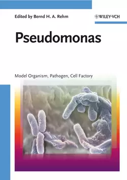 Pseudomonas, Bernd H. A. Rehm