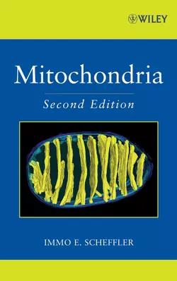 Mitochondria Immo Scheffler