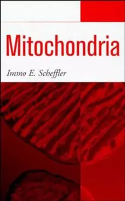 Mitochondria Immo Scheffler