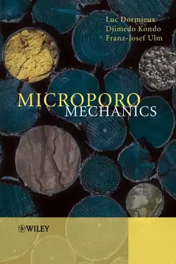 Microporomechanics Luc Dormieux и Djimedo Kondo