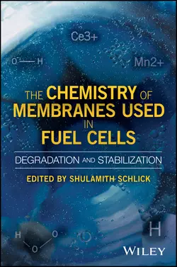 The Chemistry of Membranes Used in Fuel Cells, Shulamith Schlick