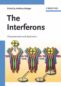 The Interferons, Anthony Meager