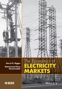 The Economics of Electricity Markets, Darryl Biggar