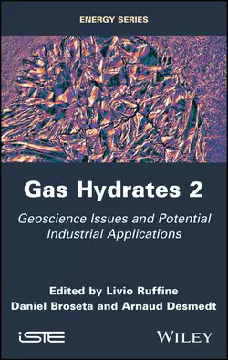 Gas Hydrates 2 Daniel Broseta и Livio Ruffine