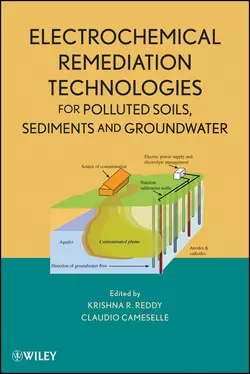 Electrochemical Remediation Technologies for Polluted Soils, Sediments and Groundwater, Claudio Cameselle