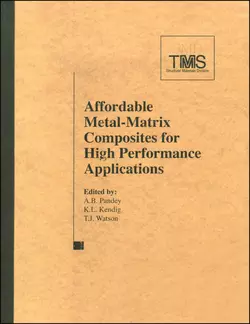 Affordable Metal Matrix Composites for High Performance Applications II, Thomas Watson