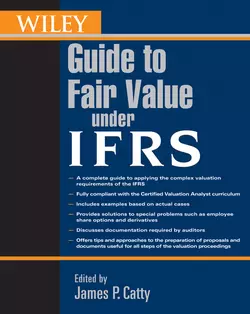 Wiley Guide to Fair Value Under IFRS James Catty