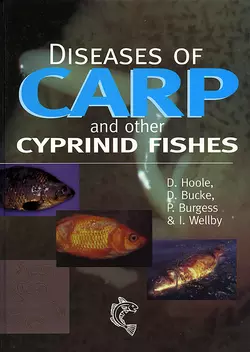 Diseases of Carp and Other Cyprinid Fishes, Peter Burgess