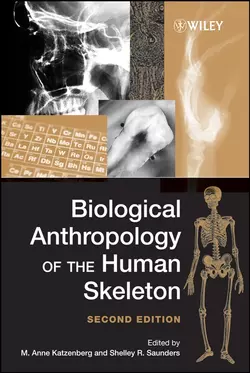 Biological Anthropology of the Human Skeleton, M. Katzenberg