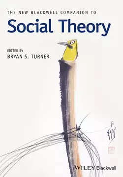 The New Blackwell Companion to Social Theory, Bryan Turner