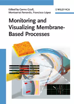 Monitoring and Visualizing Membrane-Based Processes, Francisco Lopez