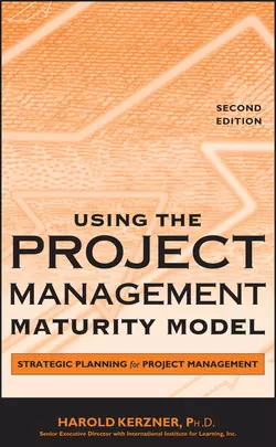 Using the Project Management Maturity Model, Harold Kerzner