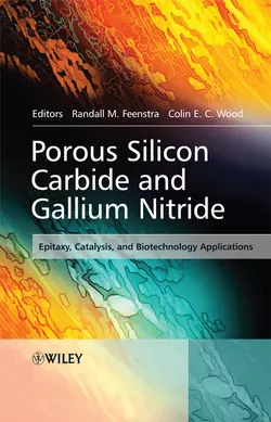 Porous Silicon Carbide and Gallium Nitride, Randall Feenstra