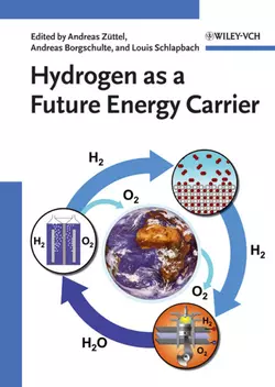 Hydrogen as a Future Energy Carrier, Andreas Borgschulte