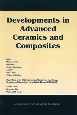 Developments in Advanced Ceramics and Composites Peter Filip и Ali Sayir