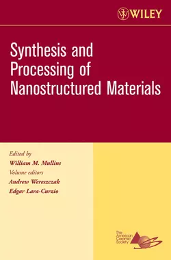 Synthesis and Processing of Nanostructured Materials, Edgar Lara-Curzio