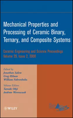 Mechanical Properties and Performance of Engineering Ceramics and Composites IV Andrew Wereszczak и Tatsuki Ohji