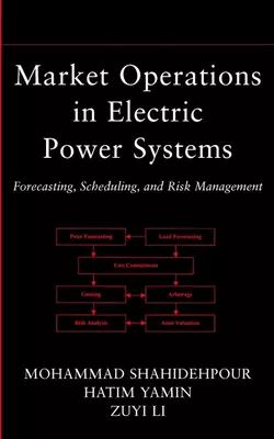 Market Operations in Electric Power Systems Mohammad Shahidehpour и Hatim Yamin