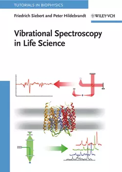 Vibrational Spectroscopy in Life Science Friedrich Siebert и Peter Hildebrandt