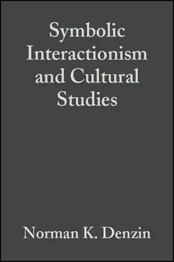 Symbolic Interactionism and Cultural Studies, Norman Denzin