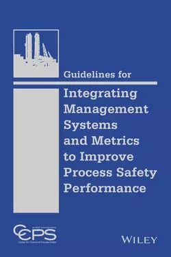 Guidelines for Integrating Management Systems and Metrics to Improve Process Safety Performance, CCPS (Center for Chemical Process Safety)