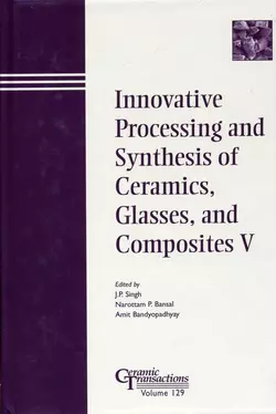 Innovative Processing and Synthesis of Ceramics  Glasses  and Composites V Amit Bandyopadhyay и Narottam Bansal