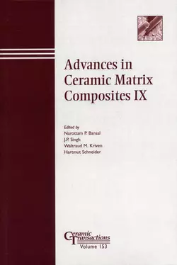 Advances in Ceramic Matrix Composites IX Hartmut Schneider и Waltraud Kriven