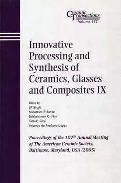 Innovative Processing and Synthesis of Ceramics  Glasses and Composites IX Tatsuki Ohji и Narottam Bansal