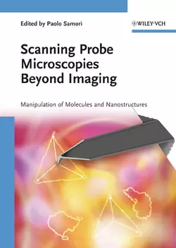 Scanning Probe Microscopies Beyond Imaging, Paolo Samori