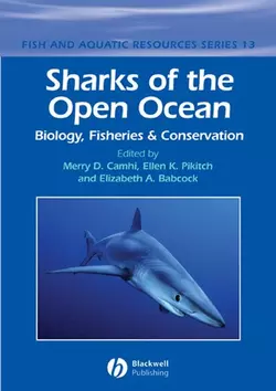 Sharks of the Open Ocean, Elizabeth Babcock