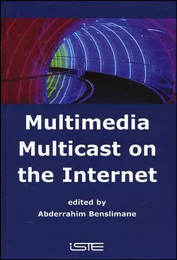 Multimedia Multicast on the Internet, Abderrahim Benslimane