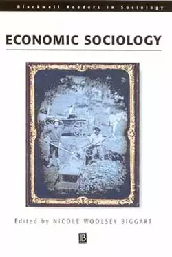 Readings in Economic Sociology, Nicole Biggart