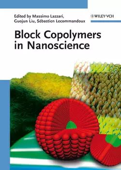 Block Copolymers in Nanoscience, Massimo Lazzari