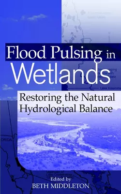 Flood Pulsing in Wetlands, Beth Middleton